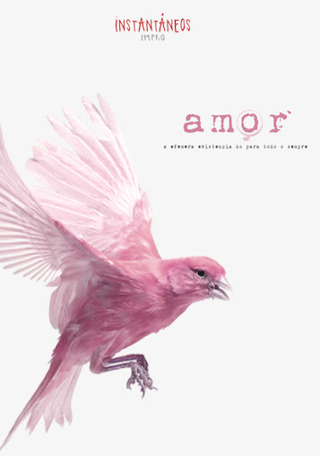 Amor · Instantâneos